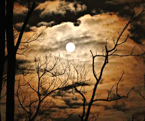 Pierwsza jesienna pełnia Księżyca. Kiedy zobaczymy Krwawy Księżyc? Sprawdź