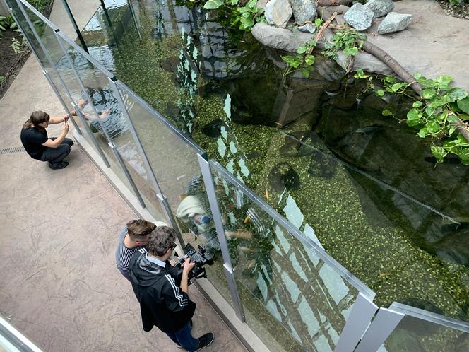 Egzotarium w Sosnowcu gotowe. Tak wygląda przed otwarciem