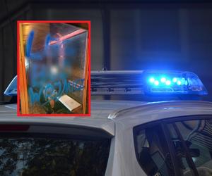 Policjanci w przyłapali na gorącym uczynku wandala. Zniszczył wiatę przystankową i chodnik w Żelazówce