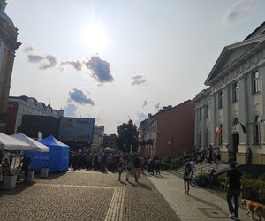 XIV Międzynarodowy Festiwal Artystów Ulicznych i Precyzji