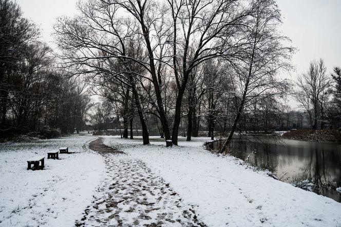 Skawiński park w zimowej otoczce