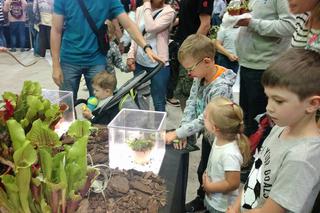 Krwiożercze rośliny opanowały katowicki Spodek! Trwa Festiwal Roślin Owadożernych [ZDJĘCIA, AUDIO]