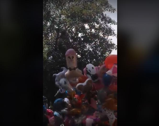 Balonowy penis na odpuście parafialnym