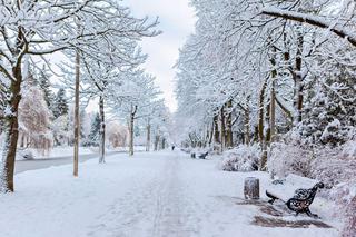 Kiedy spadnie pierwszy śnieg w Polsce? IMGW podał prognozę pogody na zimę