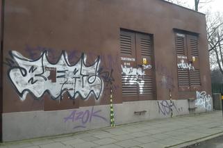 W Gdańsku trwa nierówna walka z nielegalnymi graffiti. Na ich usuwanie wydawane są tysiące złotych