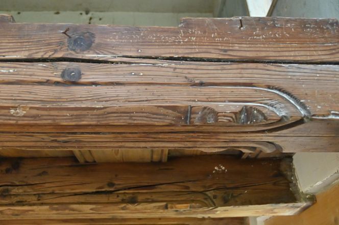 Ruiny domów i gospodarstw z czasem, bardzo powoli odzyskują dawny wygląd - ruinersi są wytrwali