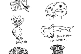 Tatuaże Zamiast Futra