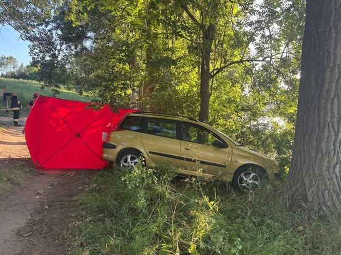 Włączył radio i wysiadł z auta. Chwilę później już nie żył!