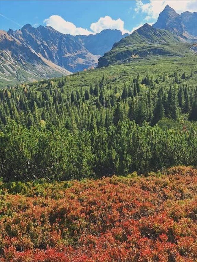 Tatry jesienią 2025