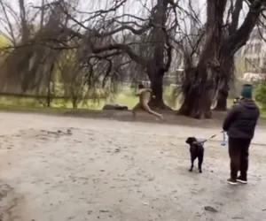 Naga Afrykanka biegała po wrocławskim parku. Straszyła przechodniów i wbiegała do wody [FILM]