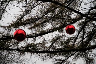 Na placu przed rektoratem UMCS w Lublinie zagościły wielkie czerwone bombki!