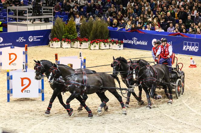 Międzynarodowe Targi Poznańskie