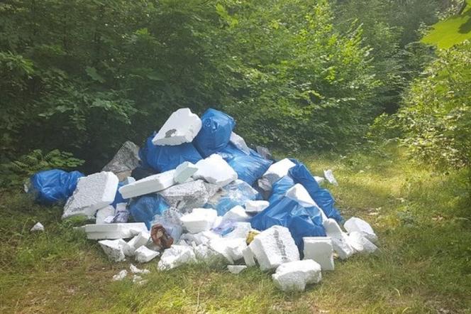 Dzikie wysypiska śmieci w Skawinie wciąż straszą. Problem można zgłaszać przez specjalną aplikację
