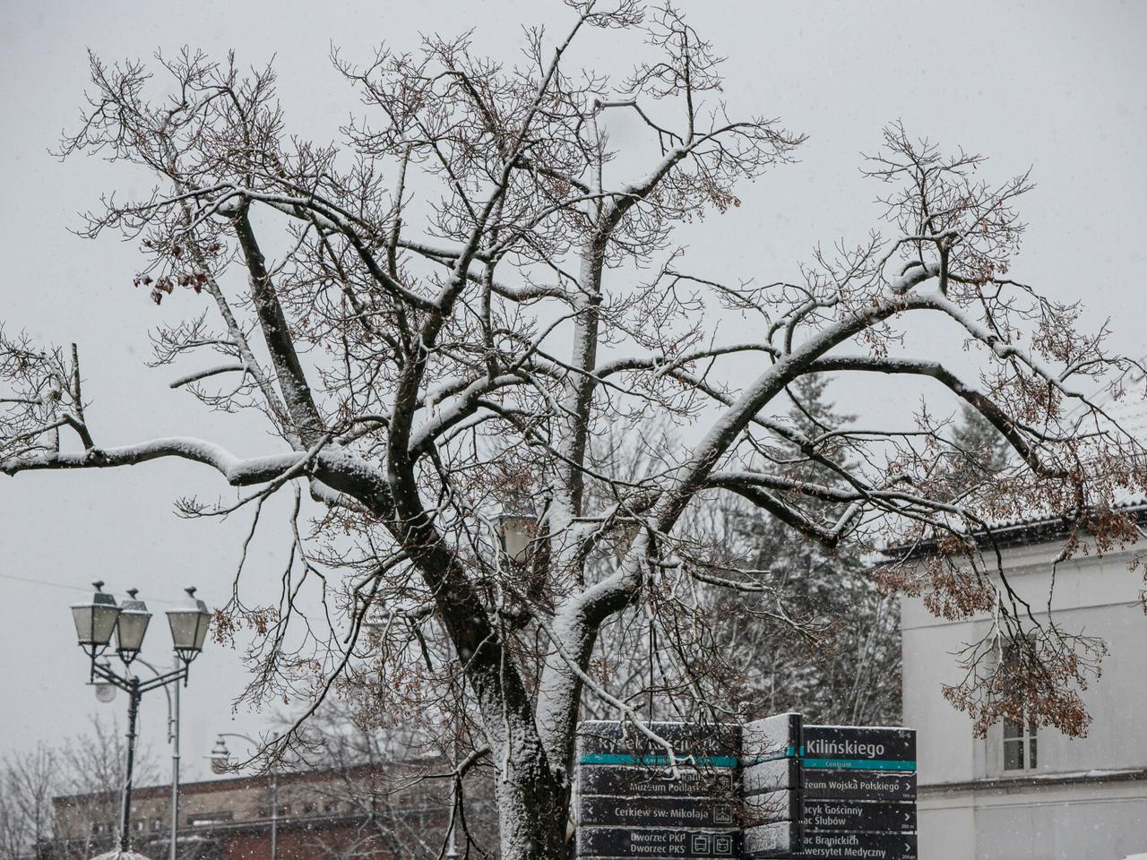 Śnieg w Polsce 2021. To już definitywny początek zimy?