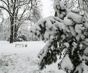 Śnieżny Szczecin 