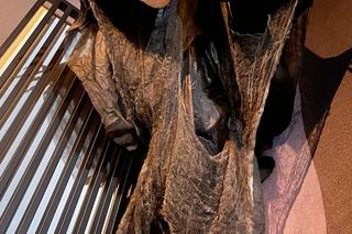 Pub Pod Dwoma Miotłami w Poznaniu