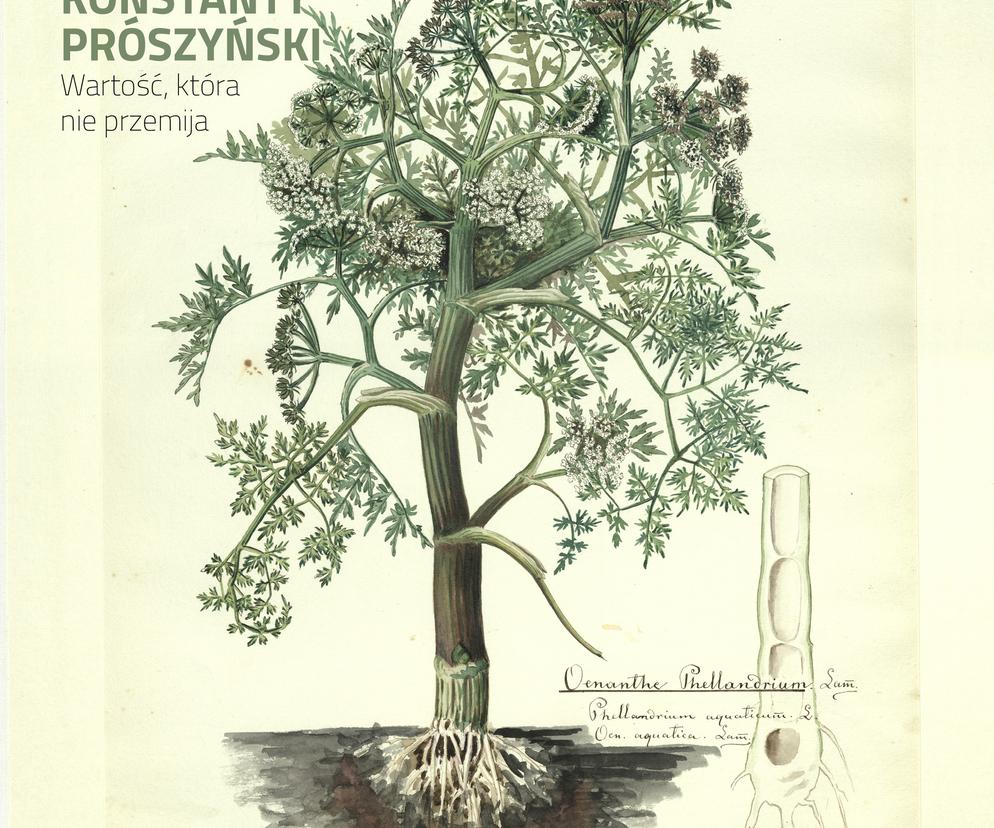 Plakat wystawy  „Wartość, która nie przemija – flora w pastelowych grafikach Konstantego Prószyńskiego”