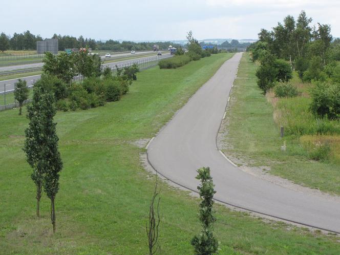 Gdzie na rolki w Rzeszowie?