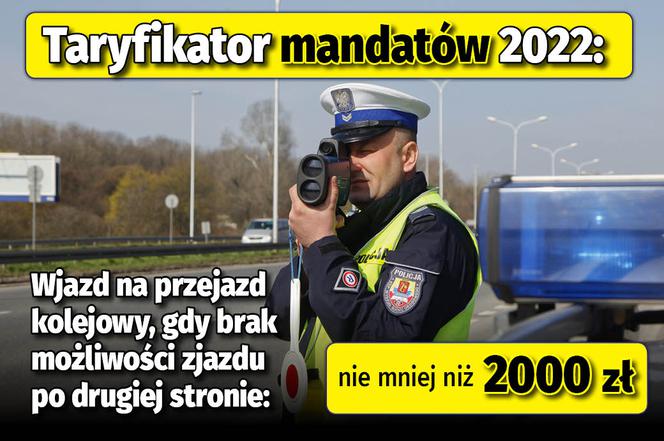 Taryfikator mandatów 2022 
