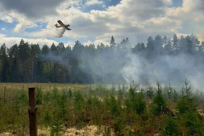 samolot pożar las