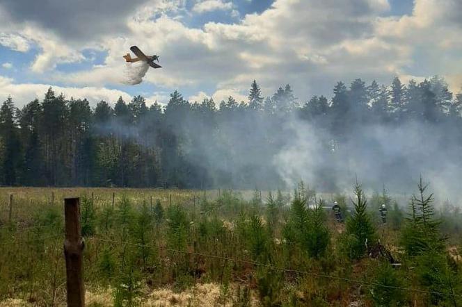 Mniej pożarów w starachowickich lasach. Pamiętajmy jednak o zachowaniu ostrożności