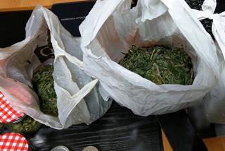 Kryminalni zabezpieczyli ponad 4 kilogramy marihuany