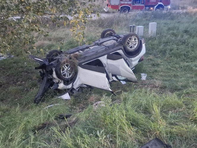 Przytoczna. Śmiertelny wypadek na DK 24. 49-latek nie żyje [ZDJĘCIA].