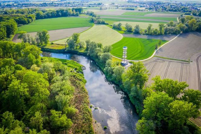 Graniczne Meandry Odry - piękny zakątek przyrody przy granicy z Czechami ZDJĘCIA