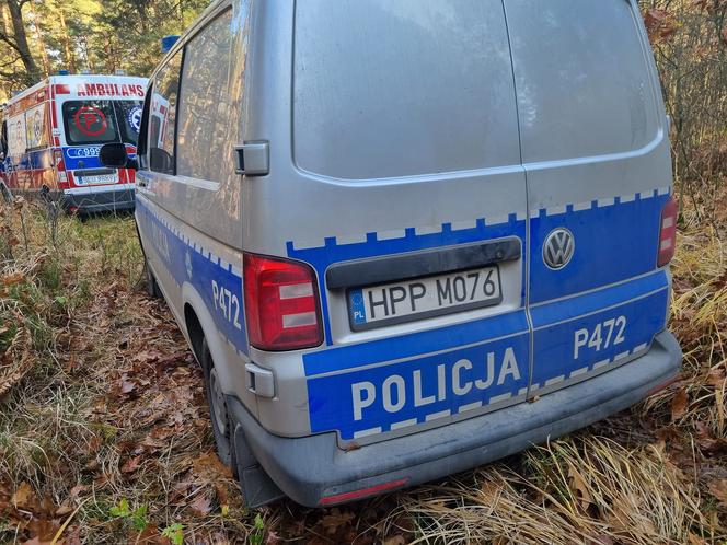 Tragedia w Mzykach. Drzewo spadło na 55-latka. Policja: "To przerażająca sprawa"