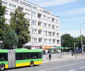 5. Ogrody 