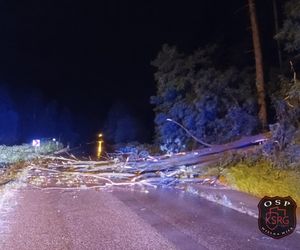 Blisko 20 zerwanych dachów po nocnych burzach w Małopolsce. Strażacy interweniowali ponad 400 razy