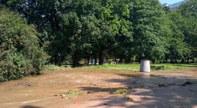 Park Skaryszewski pod wodą. Pękła rura wodociągowa