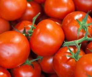 Wino z pomidorów: przepis na domowe wino