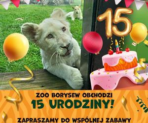 ZOO Borysew świętuje 15. urodziny! Zapowiada się niezapomniana impreza