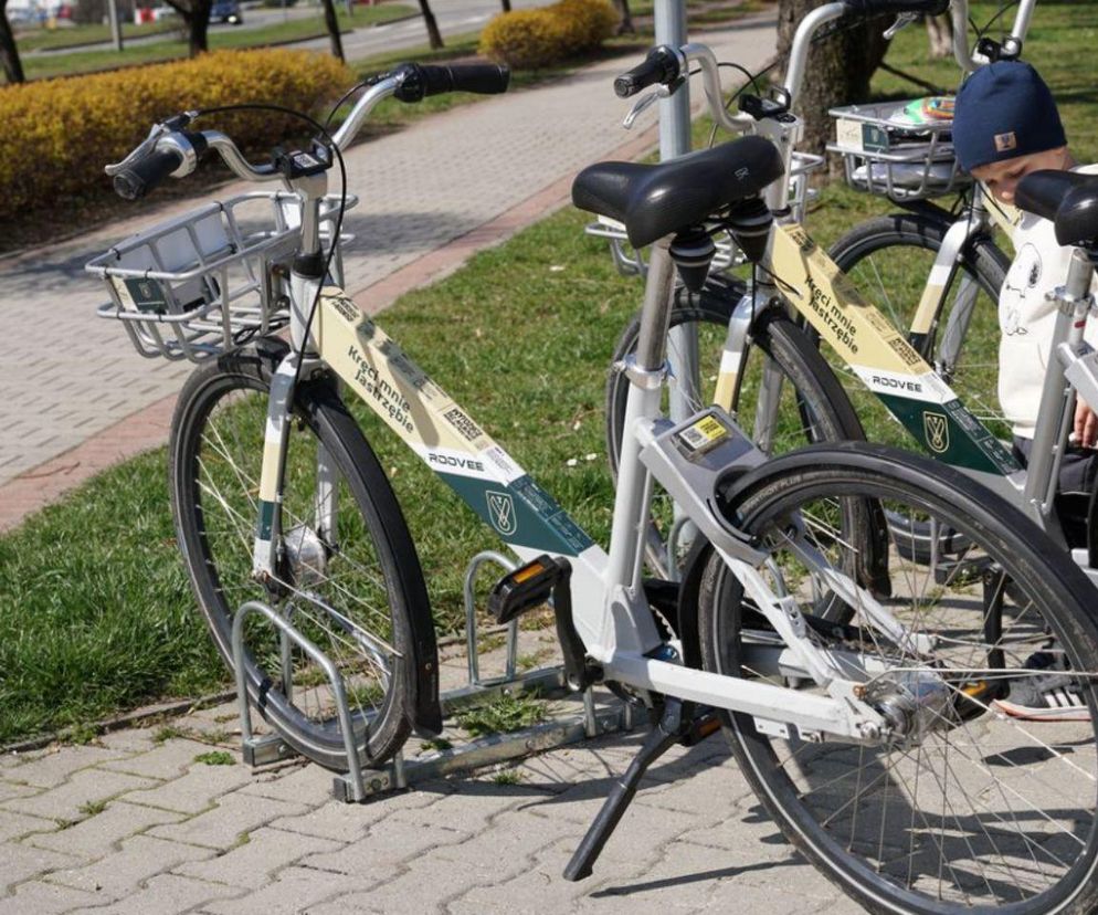 Jastrzębianie stawiają na ekologię! Ogromna popularność roweru miejskiego w minionym sezonie