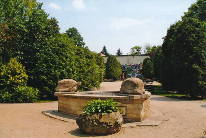 Pl. Narutowicza - fontanna
