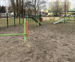 Psi park na ul. Żubardzkiej w Łodzi