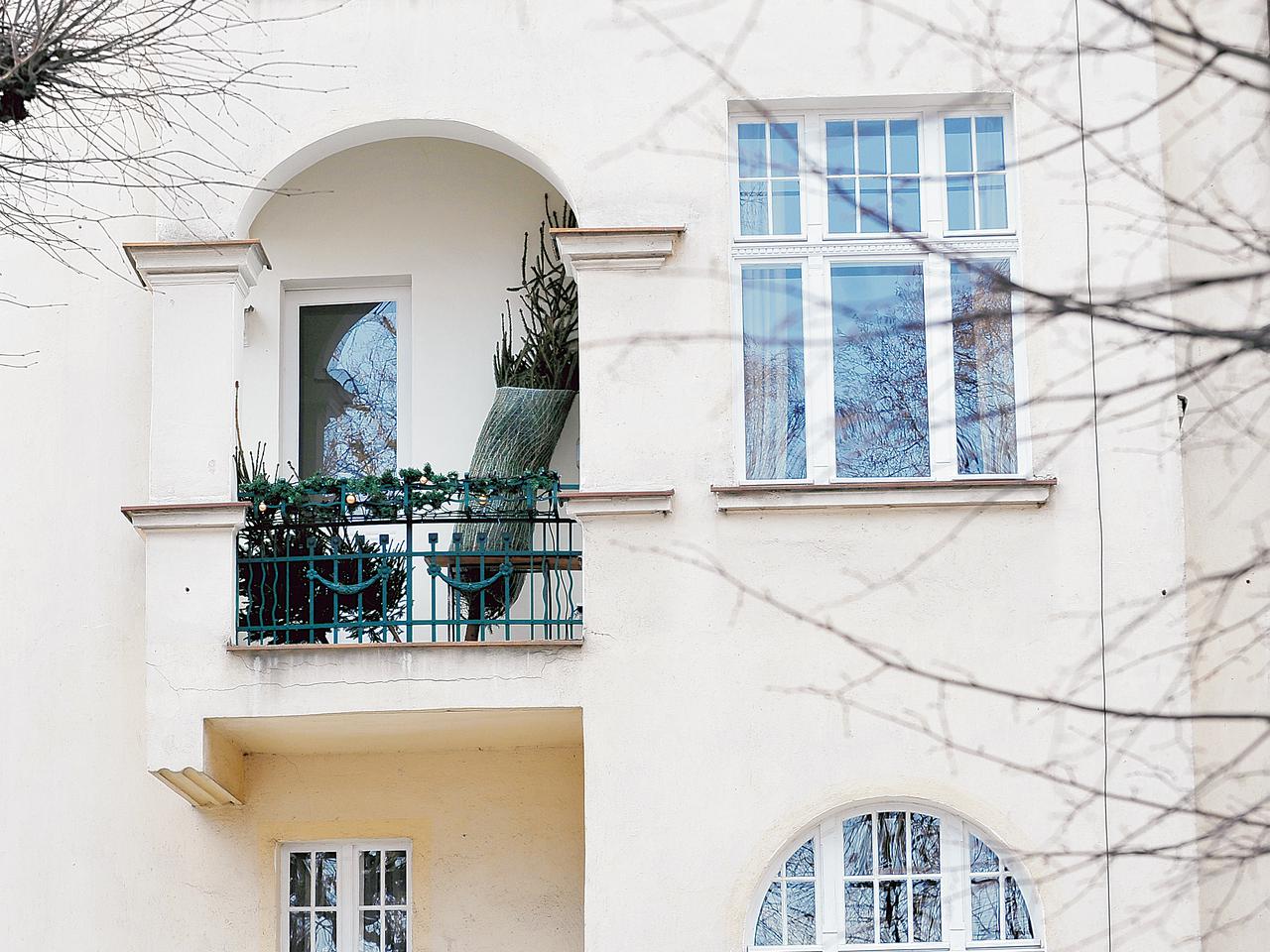 Marta kupiła 3 choinki