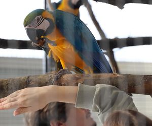 ZooPark ponownie przyciągnął do Targów Lublin tłumy miłośników zwierząt