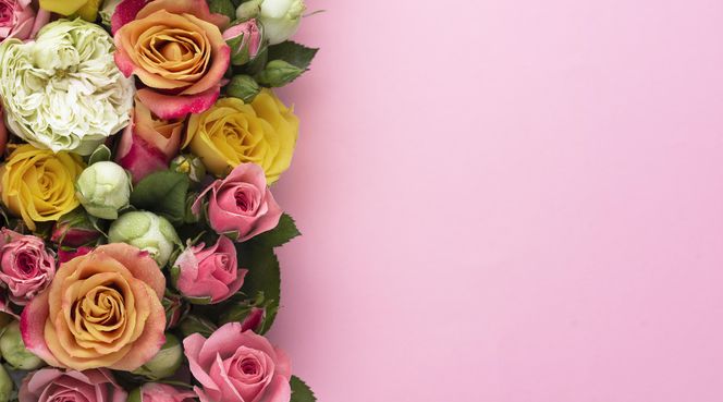 Dzień Teściowej 2025. Wyjątkowe życzenia i śmieszne wierszyki dla teściowej [5.03.2025]