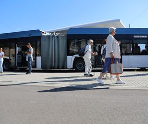 Animacje, najdłuższy autobus w kraju i inne atrakcje. Tak wyglądał Dzień bez Samochodu w Lublinie