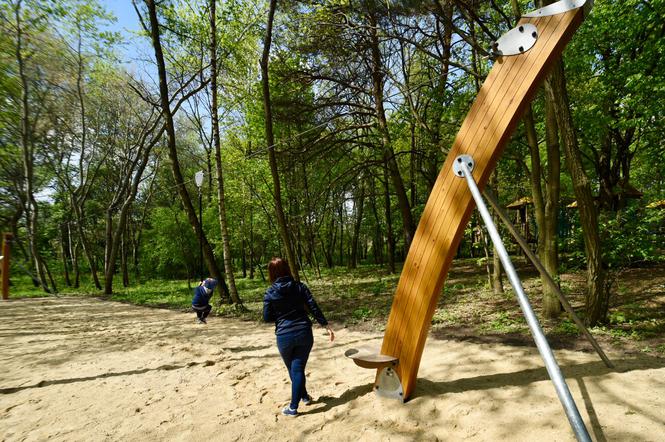 Park nad Sokołówką został zrewitalizowany