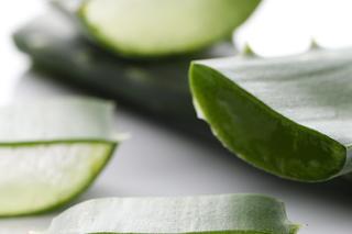 Aloes zapewni naturalną, skuteczą pielęgnację bez podrażnień 