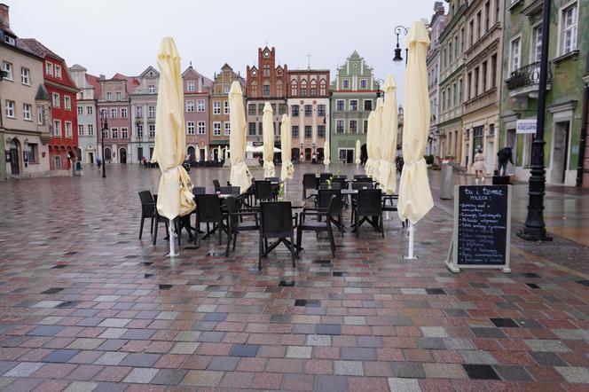 Ogródki wróciły na Stary Rynek w Poznaniu