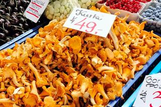 Zobacz, ile kosztują grzyby we Wrocławiu. Ceny kurek są zadziwiające!