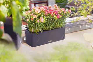 Doniczki balkonowe z uchwytami