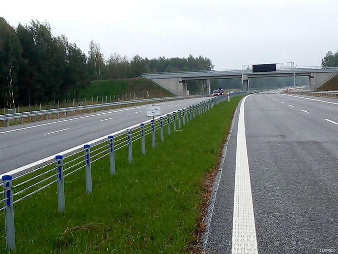 Budowa drogi S19 na odcinku Haćki-Bielsk Podlaski