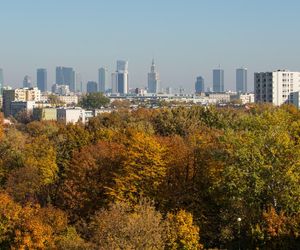 Jak cieszyć się jesienią w Warszawie? Przewodnik po najciekawszych jesiennych wydarzeniach kulturalnych