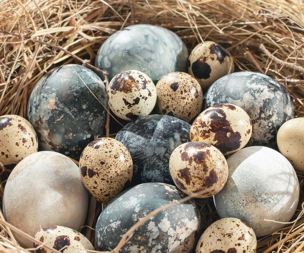 Marmurkowe pisanki. Taki efekt możesz uzyskać w domu! Potrzebną rzecz masz w kuchni