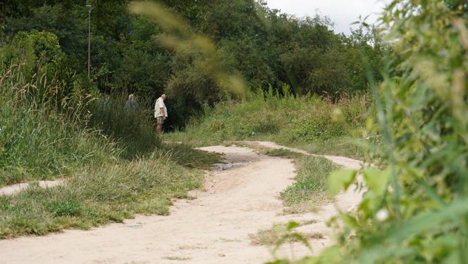 Wakacyjny spacer pod kładką nad wąwozem na Czubach. To jedno z najbardziej zielonych miejsc w Lublinie!